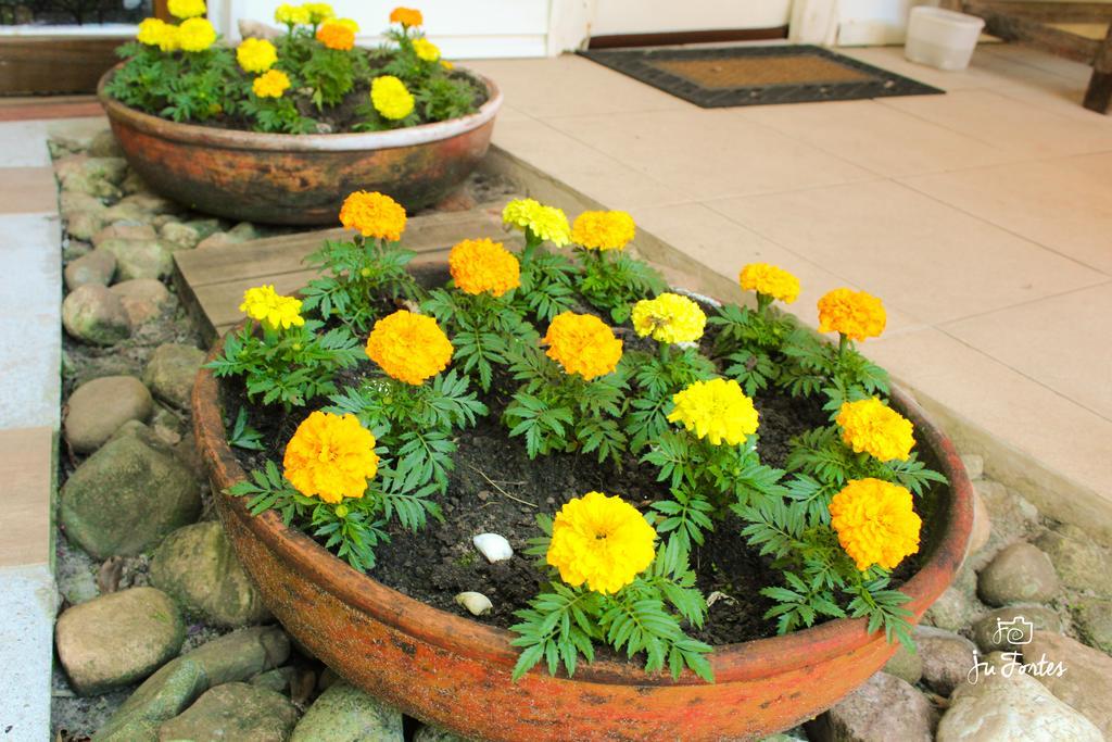 Pousada Villa Maria Ilha do Mel Ngoại thất bức ảnh