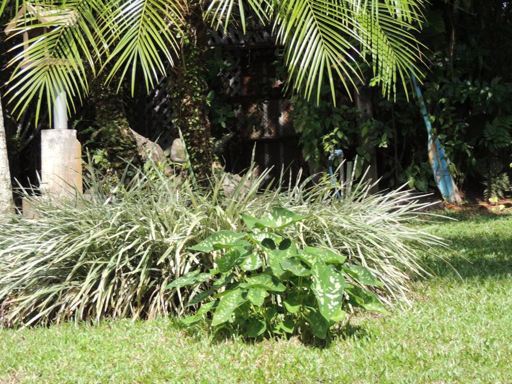 Pousada Villa Maria Ilha do Mel Ngoại thất bức ảnh