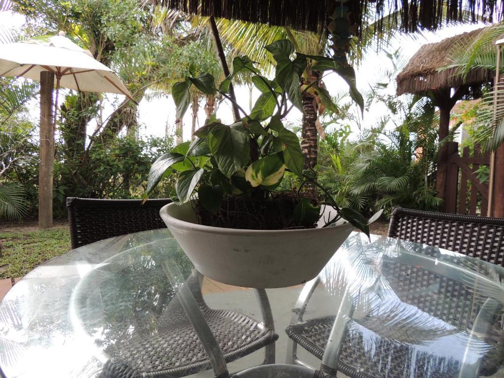 Pousada Villa Maria Ilha do Mel Ngoại thất bức ảnh